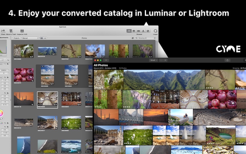 Original catalog and converted catalog