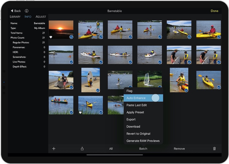 Information on the selection of photos in Raw Power