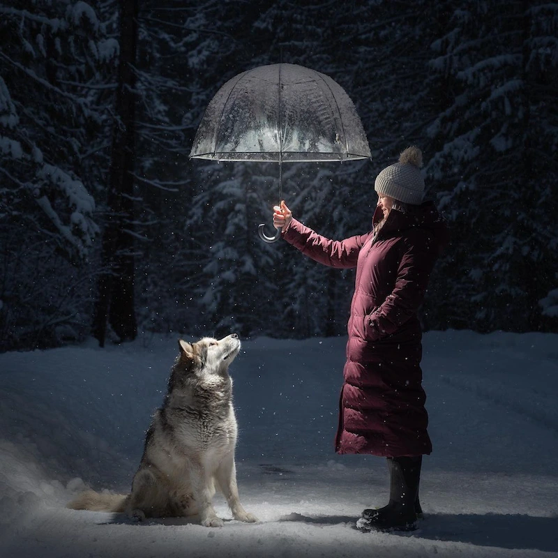 Dog with a light under an umbrella