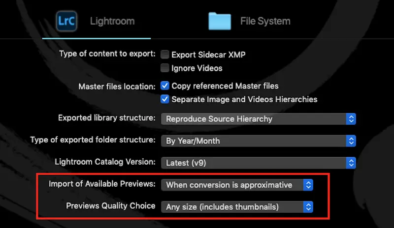 Screen of the convert interface where you can choose what you want to do with the previews