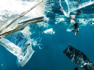 Plastic bags and different polluting items floating in the sea with fish swimming around, sign of impact on climate