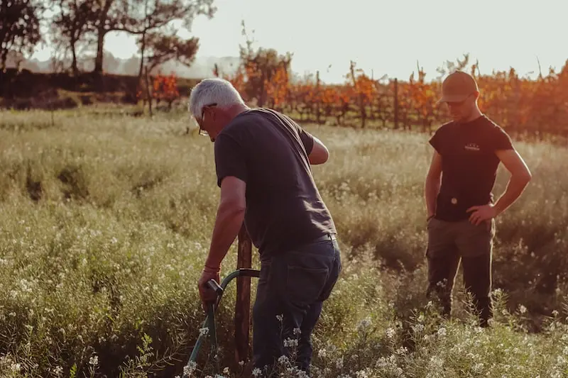 Photography of men ploughing the fields at Domaine Clavel