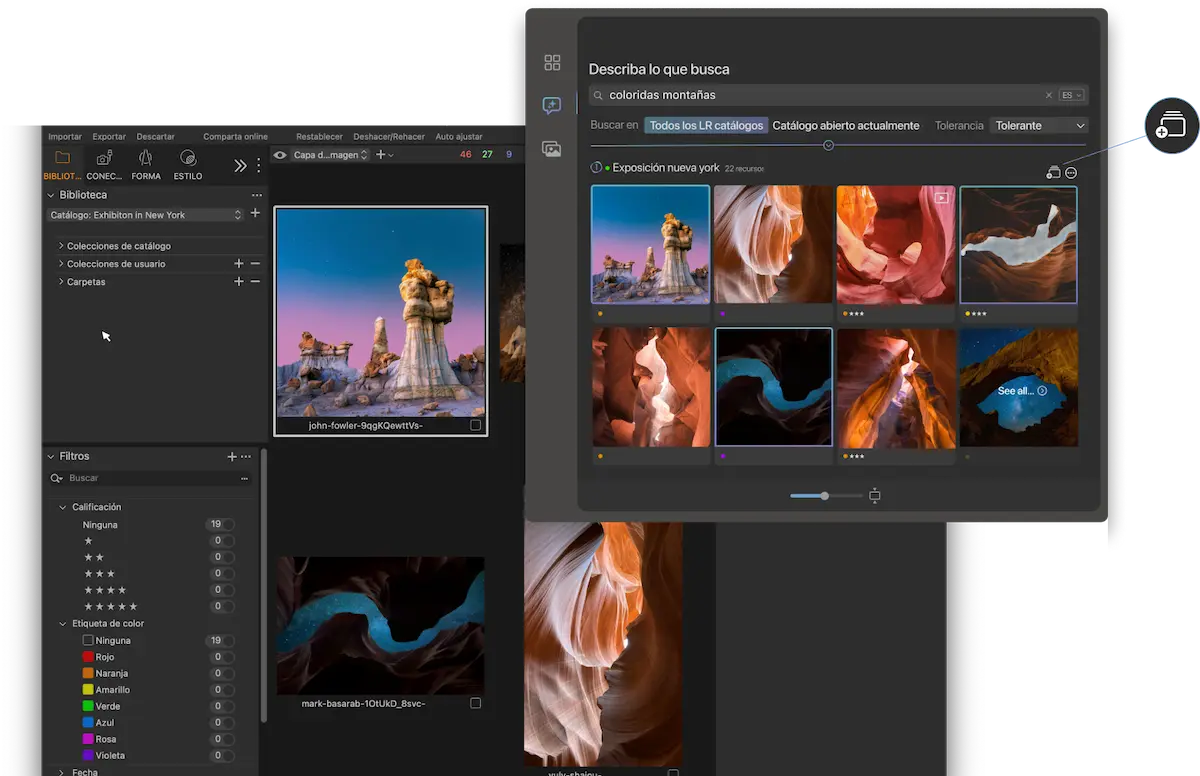 Plugin Peakto Search para Capture One - Visual 07