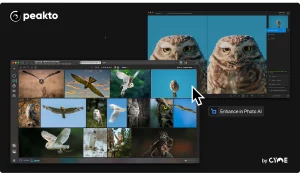 Peakto x Topaz Photo AI